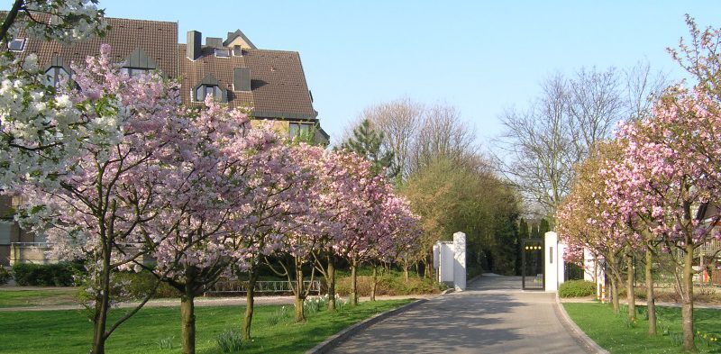 Das Eko Haus Der Japanischen Kultur In Dusseldorf D Mitte