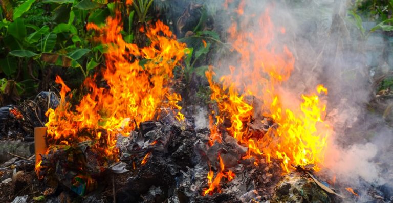 Nicht in Parks und auf Grünflächen des Rheins grillen!