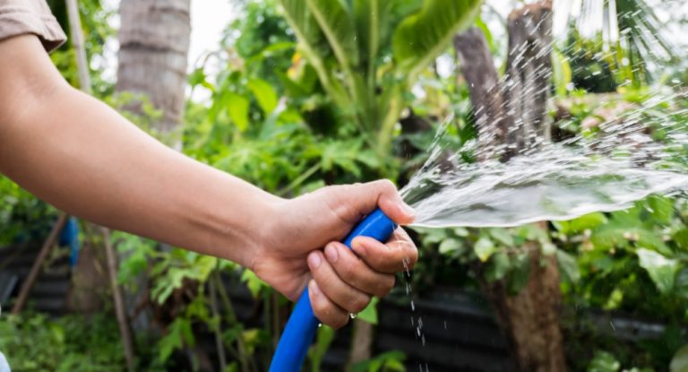 Mehr Wasser für Bäume